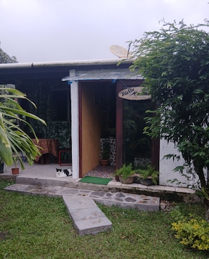 A villa with a satellite dish, a cat, and potted plants.