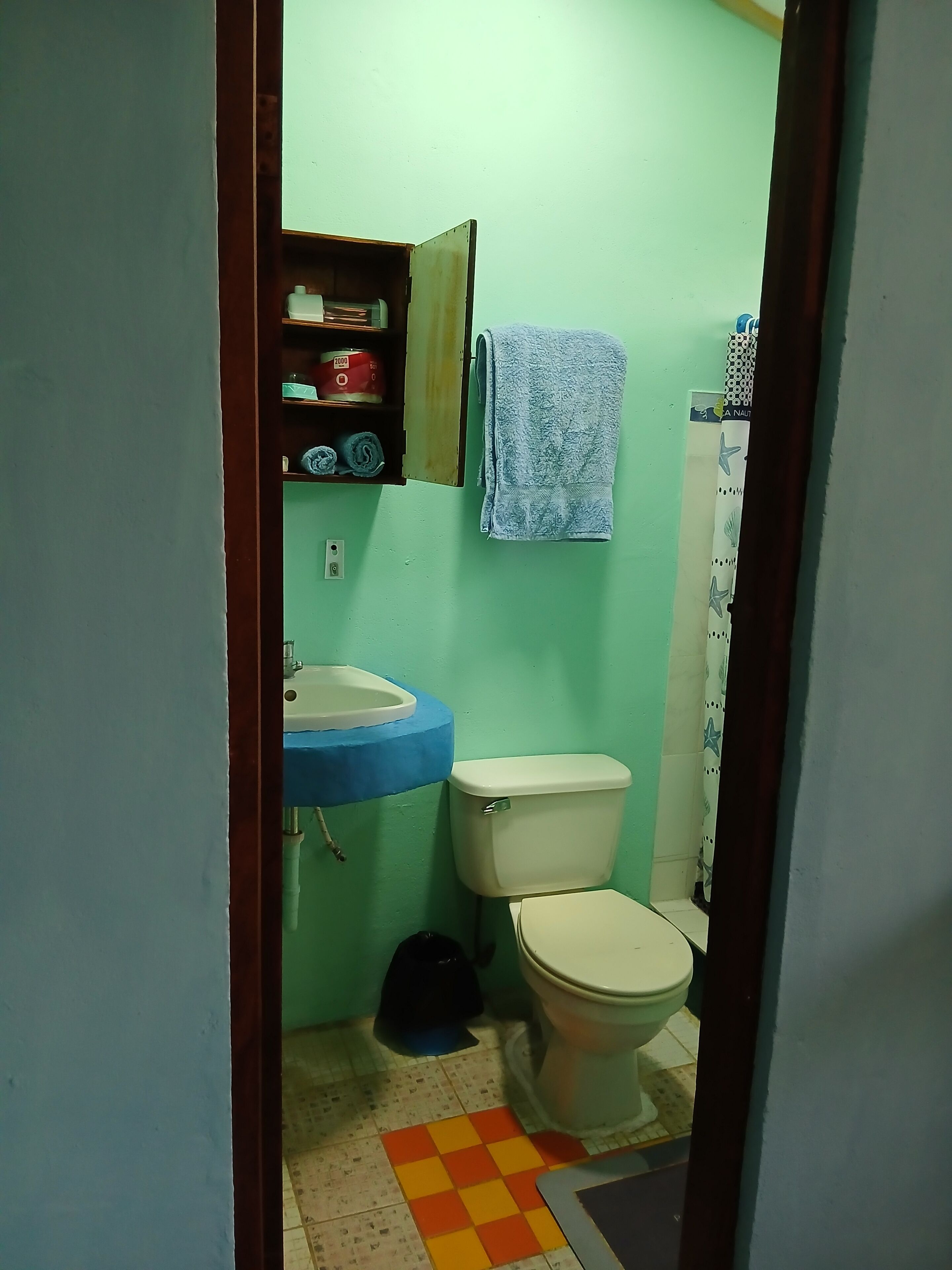 Pieni kylpyhuone, jossa on wc, pesuallas ja kaappi, jossa säilytetään hygieniatarvikkeita.