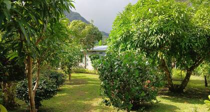 Villa Matias: Cozy Refuge El Valle de Anton, Panama
