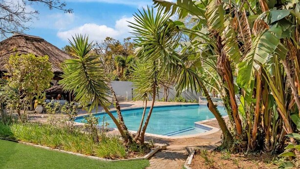 Una piscina rodeada de plantas tropicales y una estructura con techo de paja.
