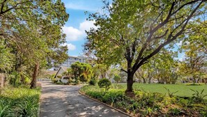 Un sendero pavimentado bordeado por exuberante vegetación y árboles, que conduce a un edificio con techo inclinado.