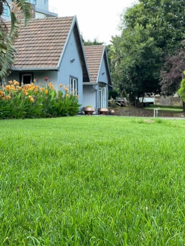 A grassy lawn with a house in the background. - Zinziluxe Guesthouse (Johannesburg)