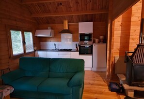 TV, fireplace, table tennis