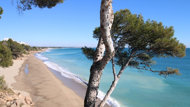A beach with clear turquoise water, sandy shore, and a tree in the foreground. - Apartment Panoramic B4 by Parc Mont-roig (Miami Playa)