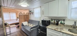 A compact kitchen with a microwave, a sink, and a small countertop. There is a sofa in the living area with a decorative wall panel and a small table with a plant. - Blue Bird Tiny House: Hot Tub + Rooftop Deck (Logan)