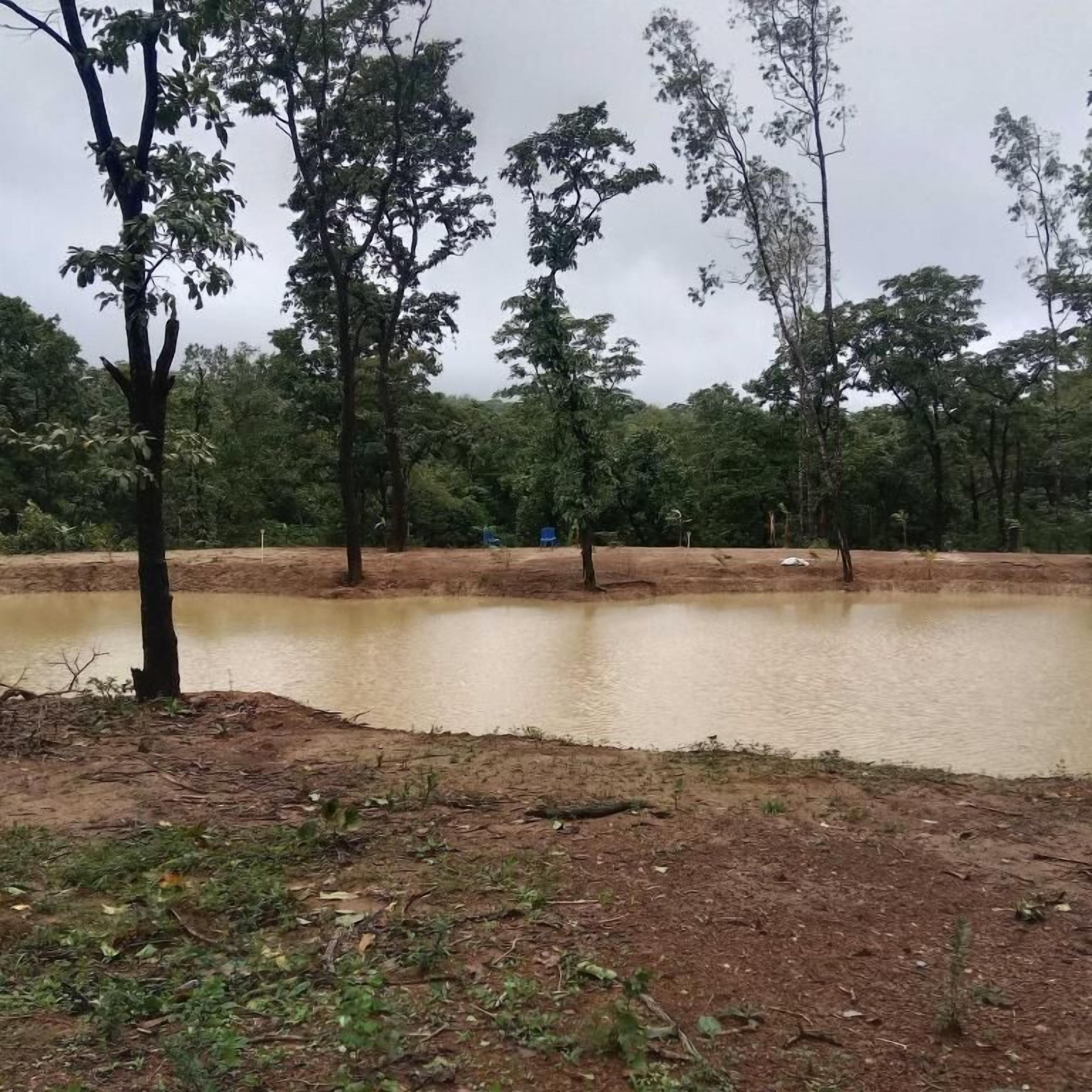 A natural landscape with a pond, trees, and a dirt path.