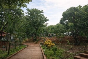 Exterior - Wild Monk (Joida)