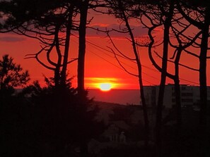 Nicht klassifiziertes Bild, 4 von 6, Schaltfläche