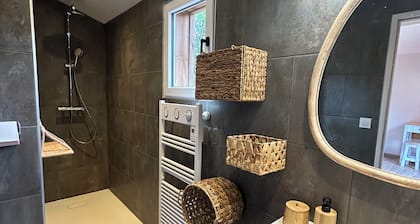 la cabane de la plage, au milieu des pins, parking privé, 300m de la plage