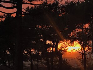 Nicht klassifiziertes Bild, 5 von 6, Schaltfläche