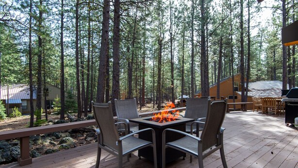 Een terras met een vuurkuil en stoelen, omringd door hoge bomen.