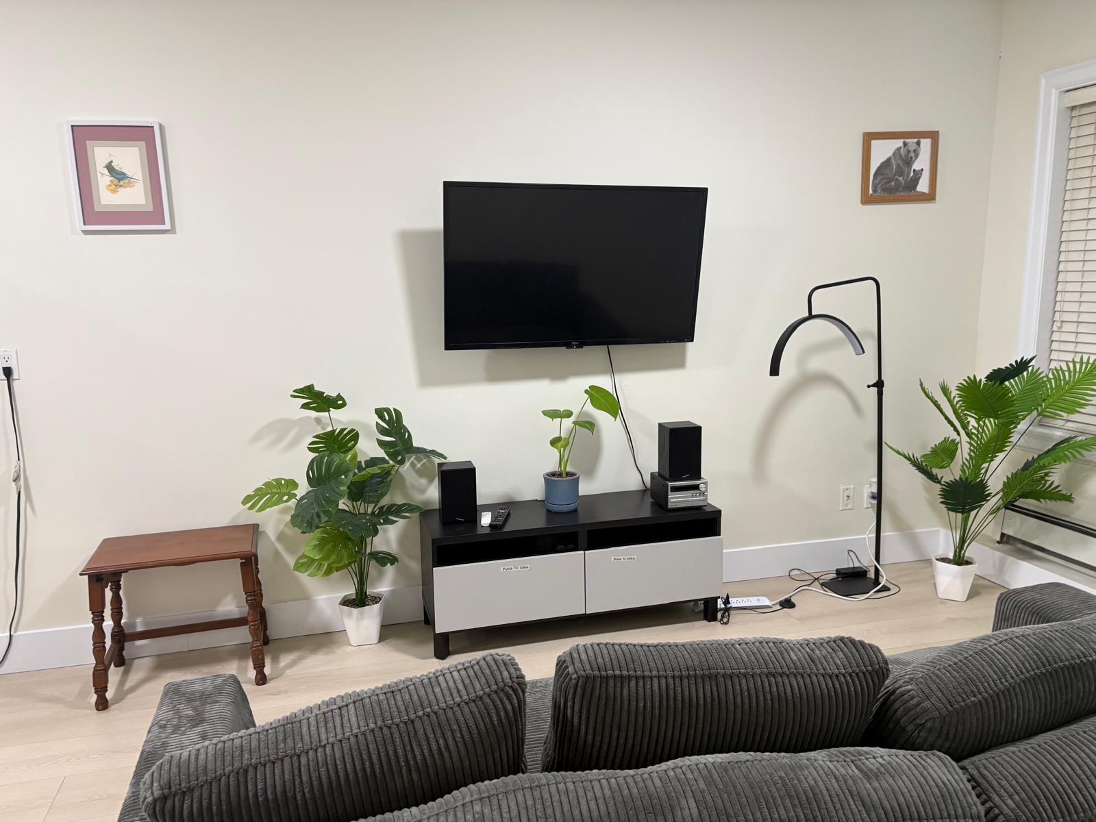 A living room with a flat-screen TV mounted on the wall, a grey sofa, a wooden side table, and two potted plants.