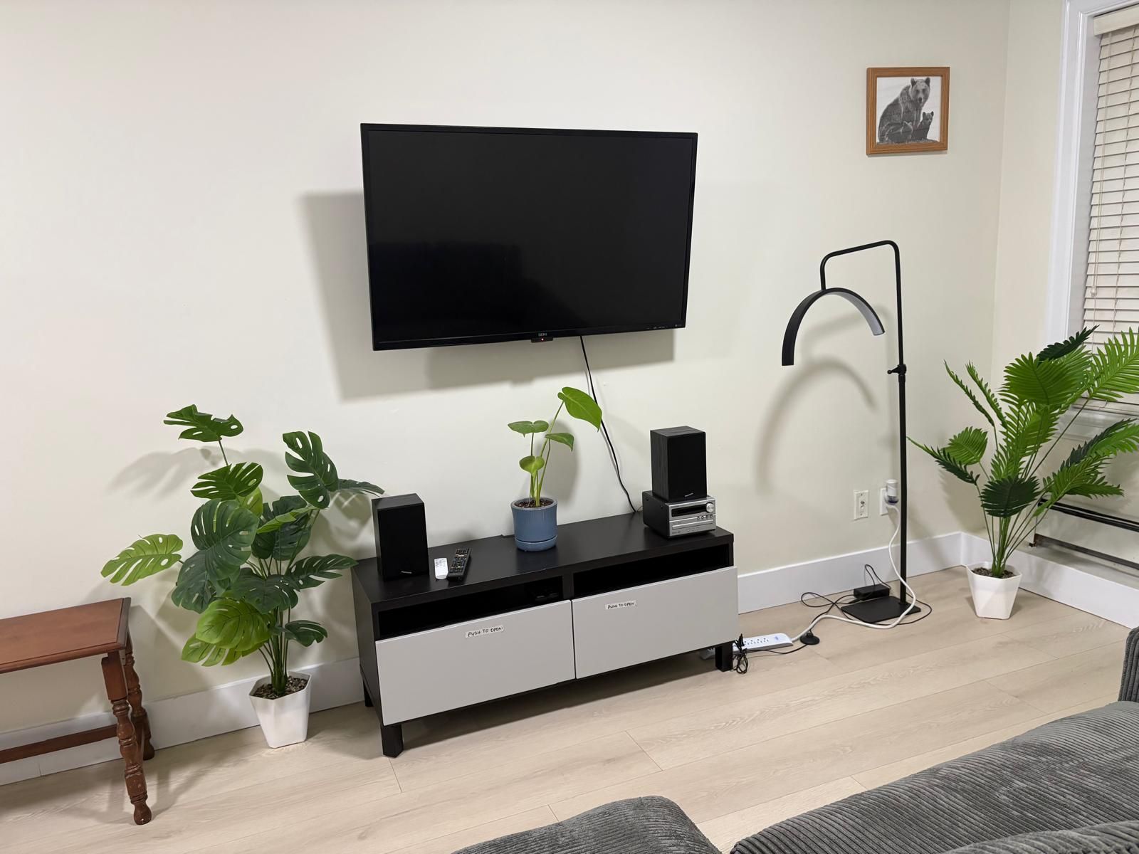 A living room with a flat-screen TV mounted on the wall, a black entertainment unit with speakers, a floor lamp, and several potted plants.