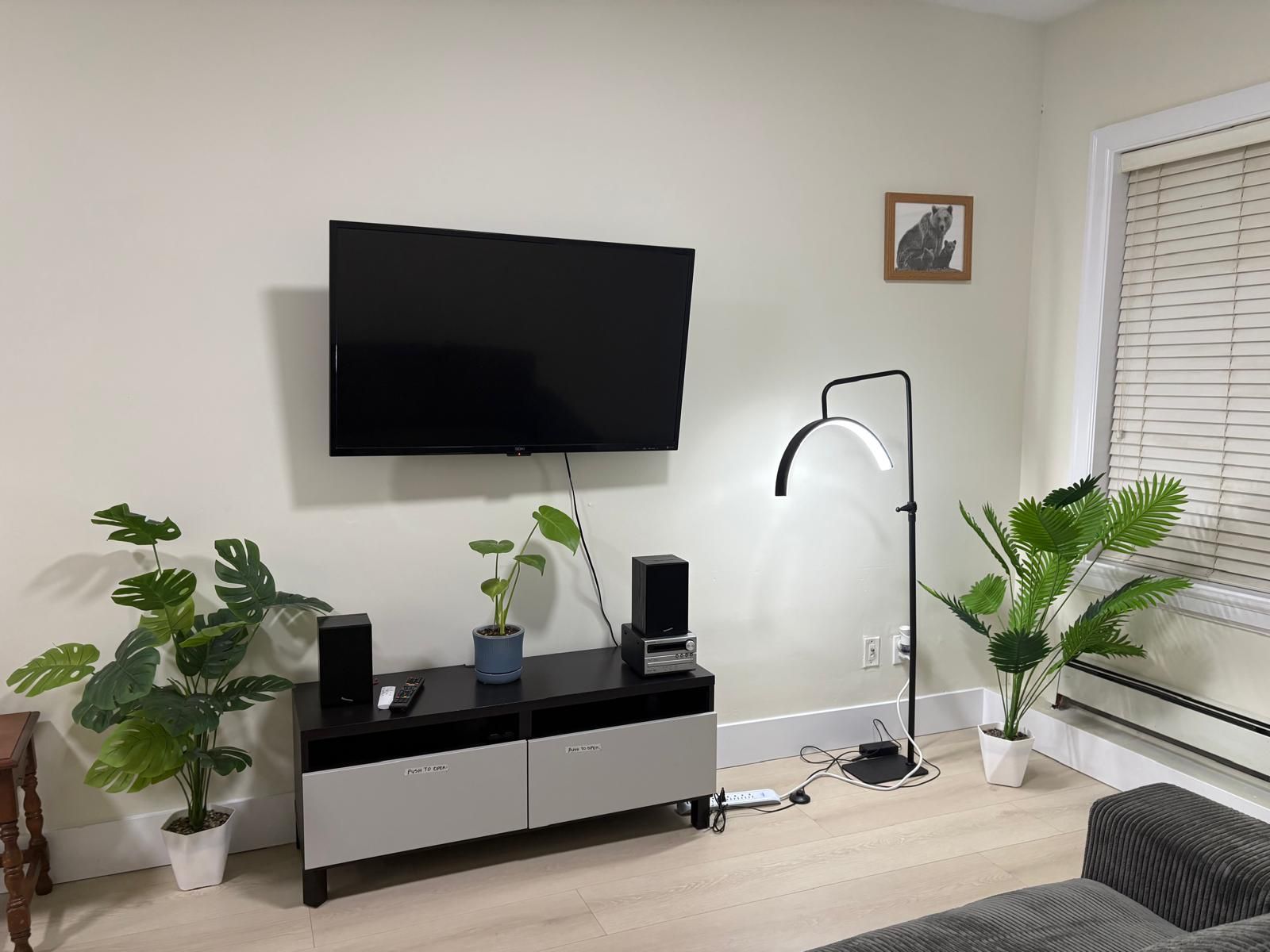 A living room with a flat-screen TV mounted on the wall, a modern floor lamp, and several potted plants.