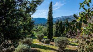 Un jardín con diversas plantas, un árbol alto y un paisaje montañoso de fondo.