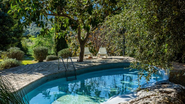 Una piscina con plataforma de piedra, rodeada de árboles y arbustos.