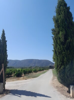 Unclassified image, 3 of 13, button - Bed and Breakfast 'Chambre D'hôtes - Suite Familiale' with Mountain View, Wi-Fi and Air Conditioning (Robion)