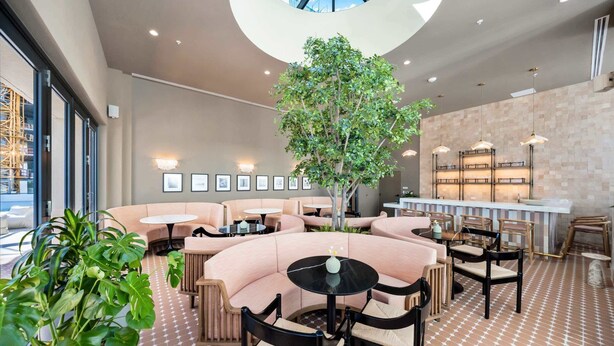 Een moderne lounge met gebogen zitplaatsen, een centrale boom en een bar met planken.