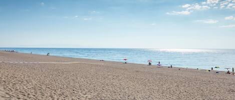 Une plage avec un ciel dégagé, un rivage sablonneux et des parasols.