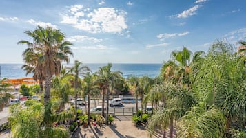 A view of a beachside area with palm trees, a pool, and a road leading to the sea.