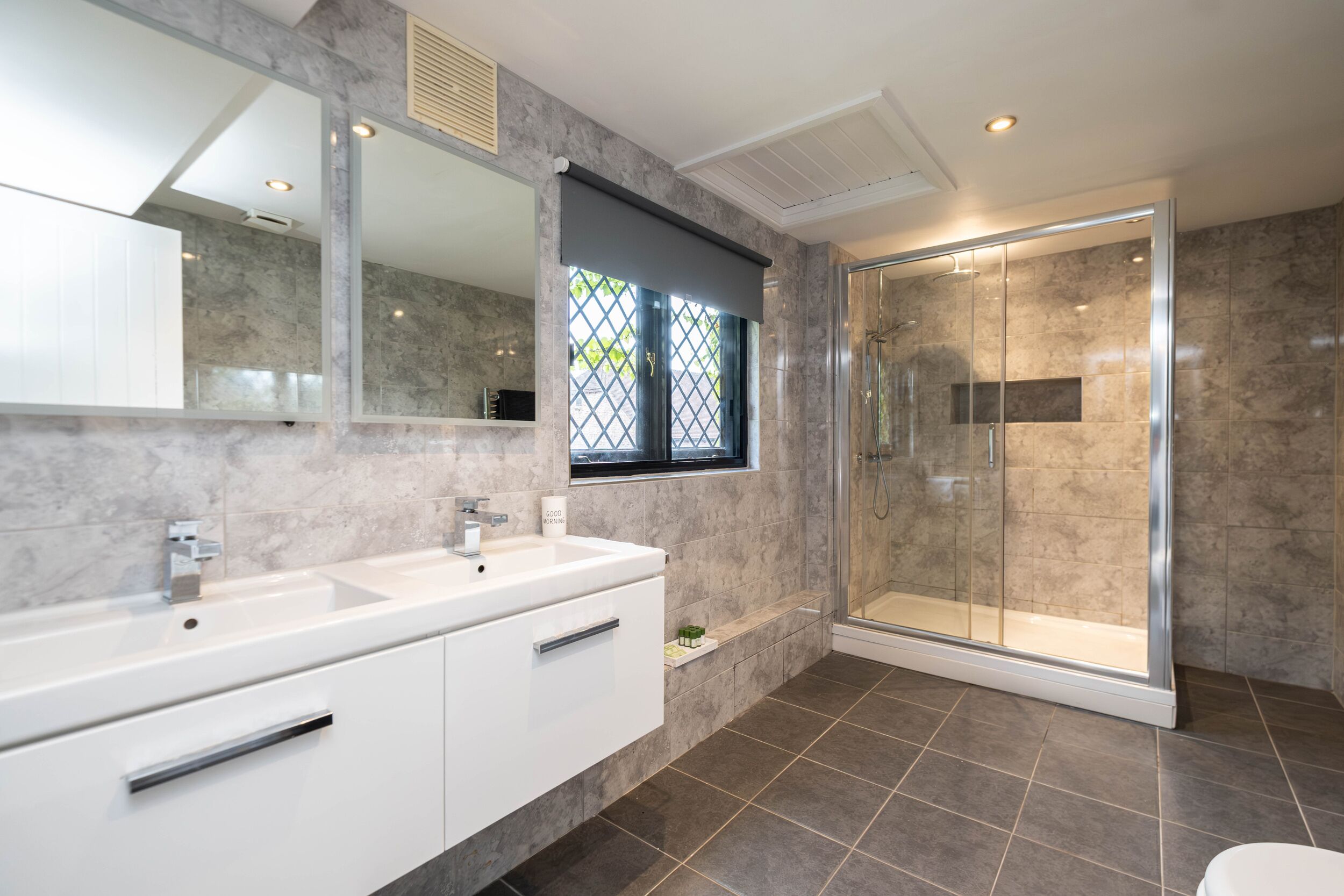 Shower, hair dryer