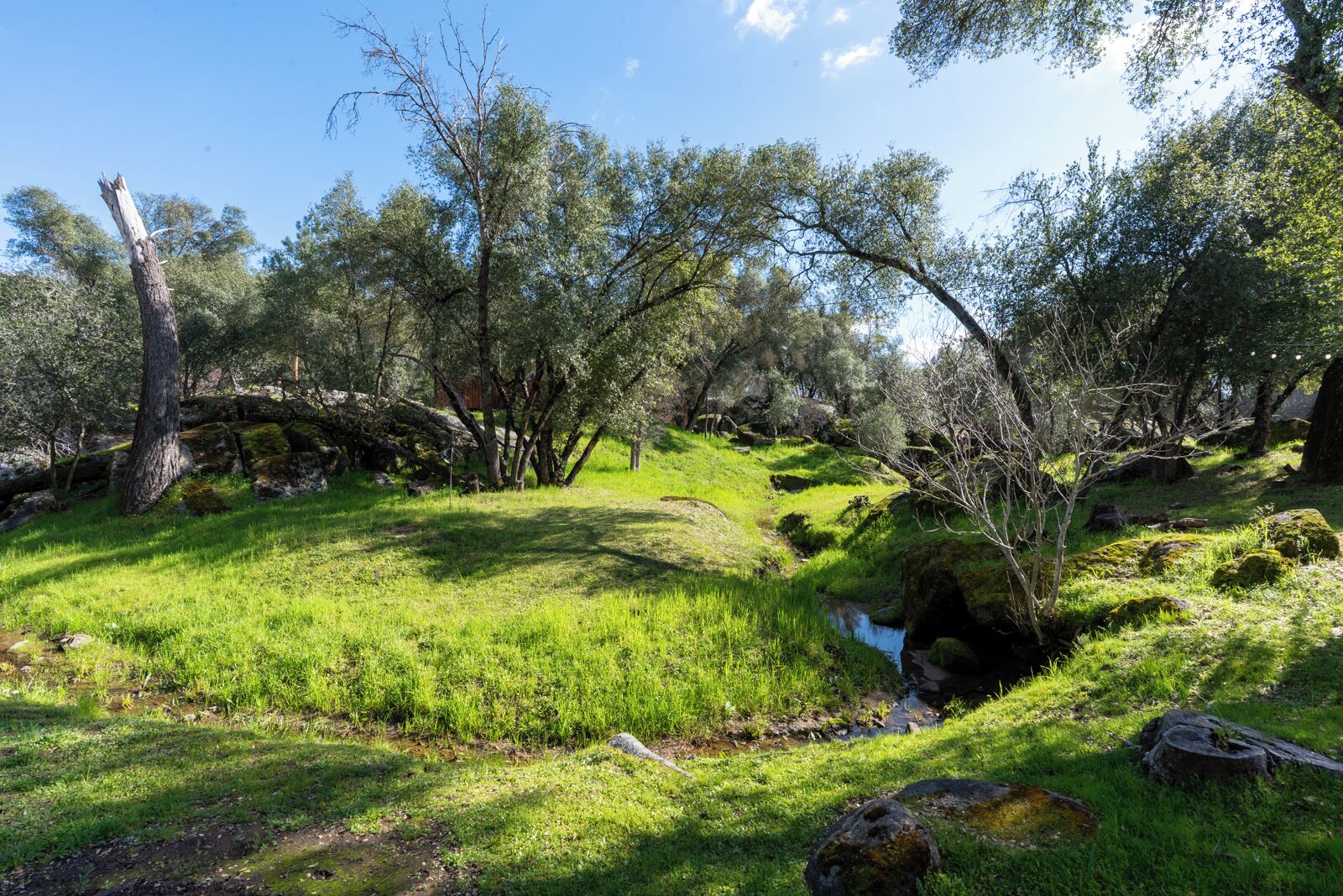 A natural landscape with a grassy area, trees, and a small stream.