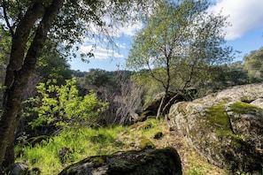 Miscellaneous - Yosemite: Nature Escape, Pets, BBQ, Starlink, Split bedrooms, Cozy & Pvt Grounds (Mariposa)