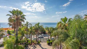 A view of a beachside area with palm trees, a pool, and a road leading to the sea.