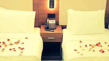 Basic Double or Twin Room
