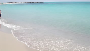 Una spiaggia nelle vicinanze