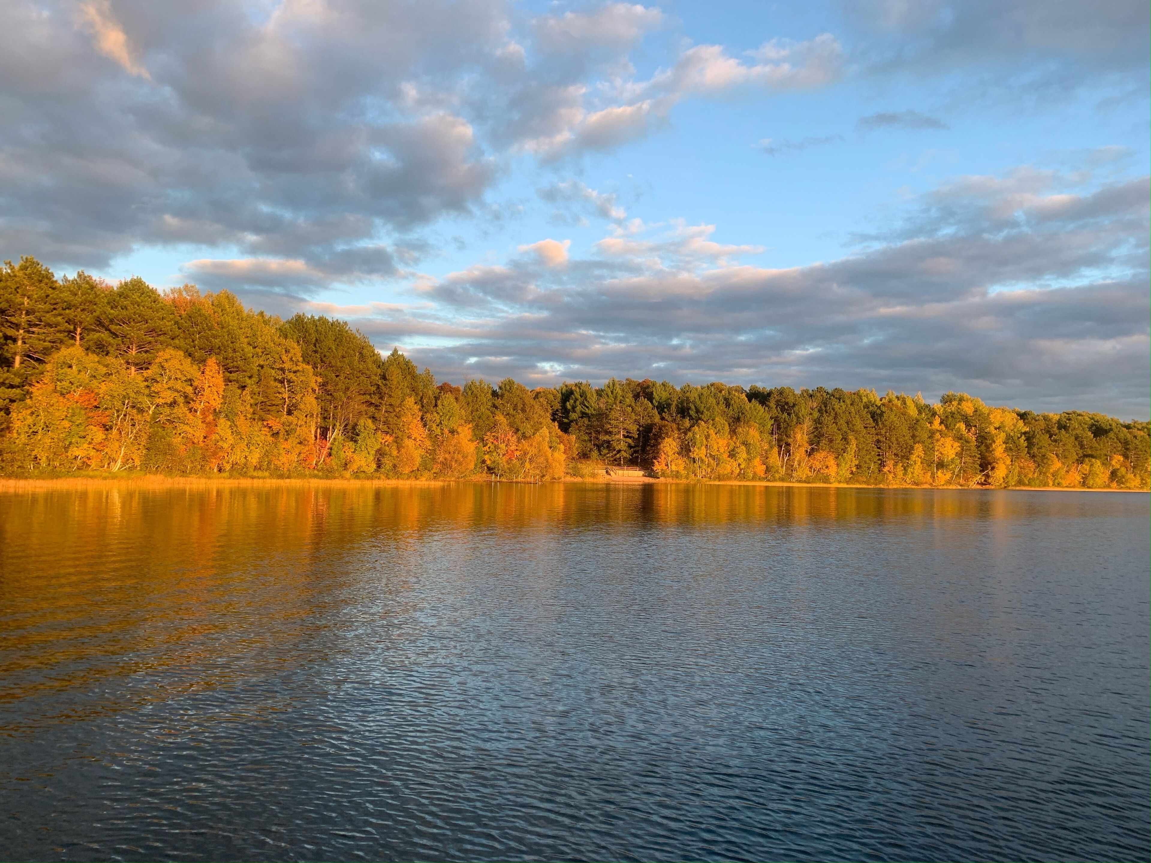 Ein ruhiger See mit bewaldeter Uferlinie und blauem Himmel.