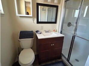 Shower, hair dryer, towels, soap - Three Blocks to Flagler - Fenced Backyard Pets OK (New Smyrna Beach)