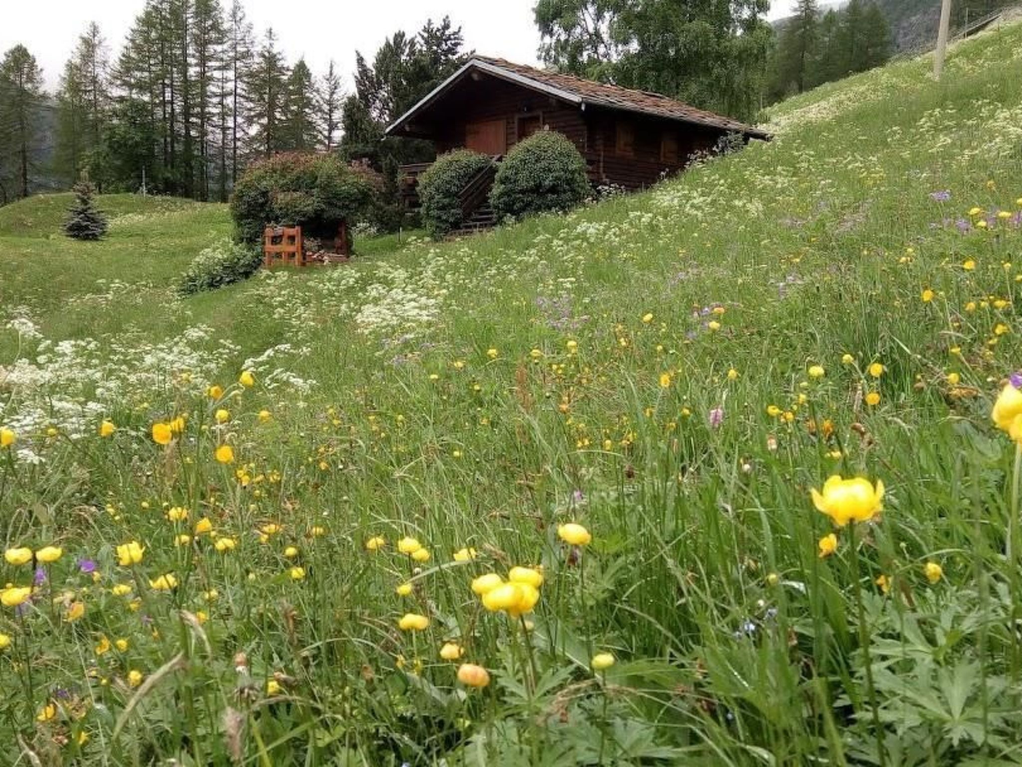 Overnattingsstedets uteområder