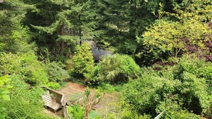 A wooden deck surrounded by lush greenery and dense forest. - Relaxing 1 bdr + den rainforest retreat with patio (Bowen Island)