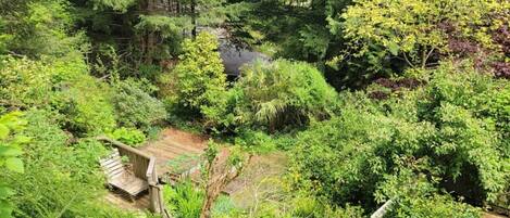 Una terraza de madera rodeada de abundante vegetación y un bosque denso.