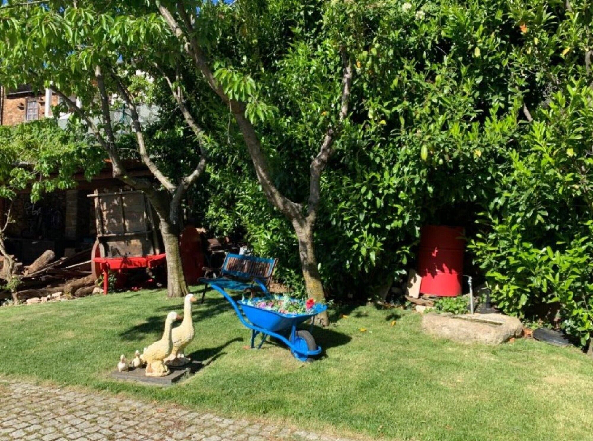 Área da propriedade