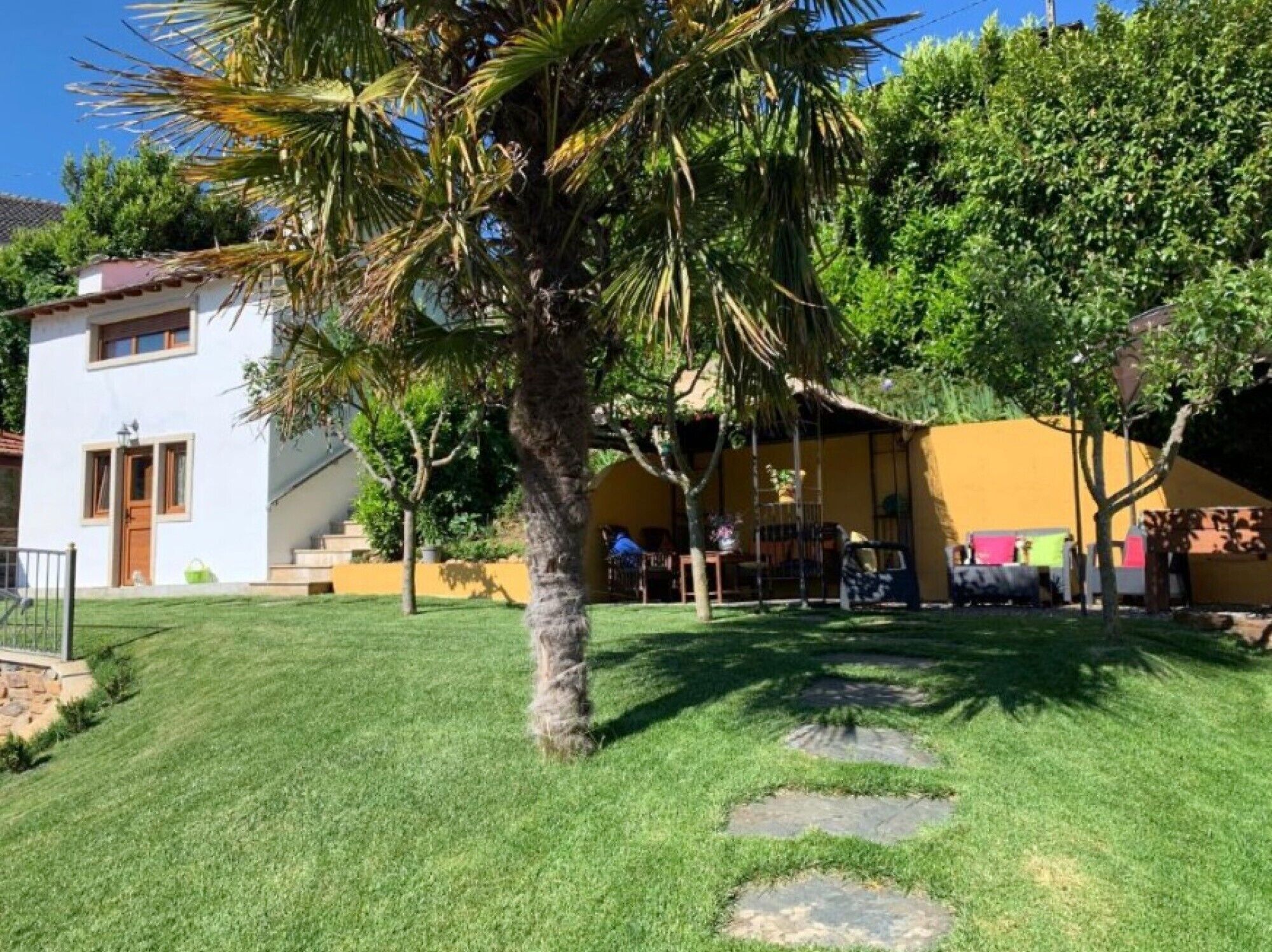 A well-maintained garden with a palm tree, a white building with a brown door, and a yellow structure in the background.