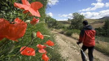 A person walking on a dirt path surrounded by greenery and red flowers.