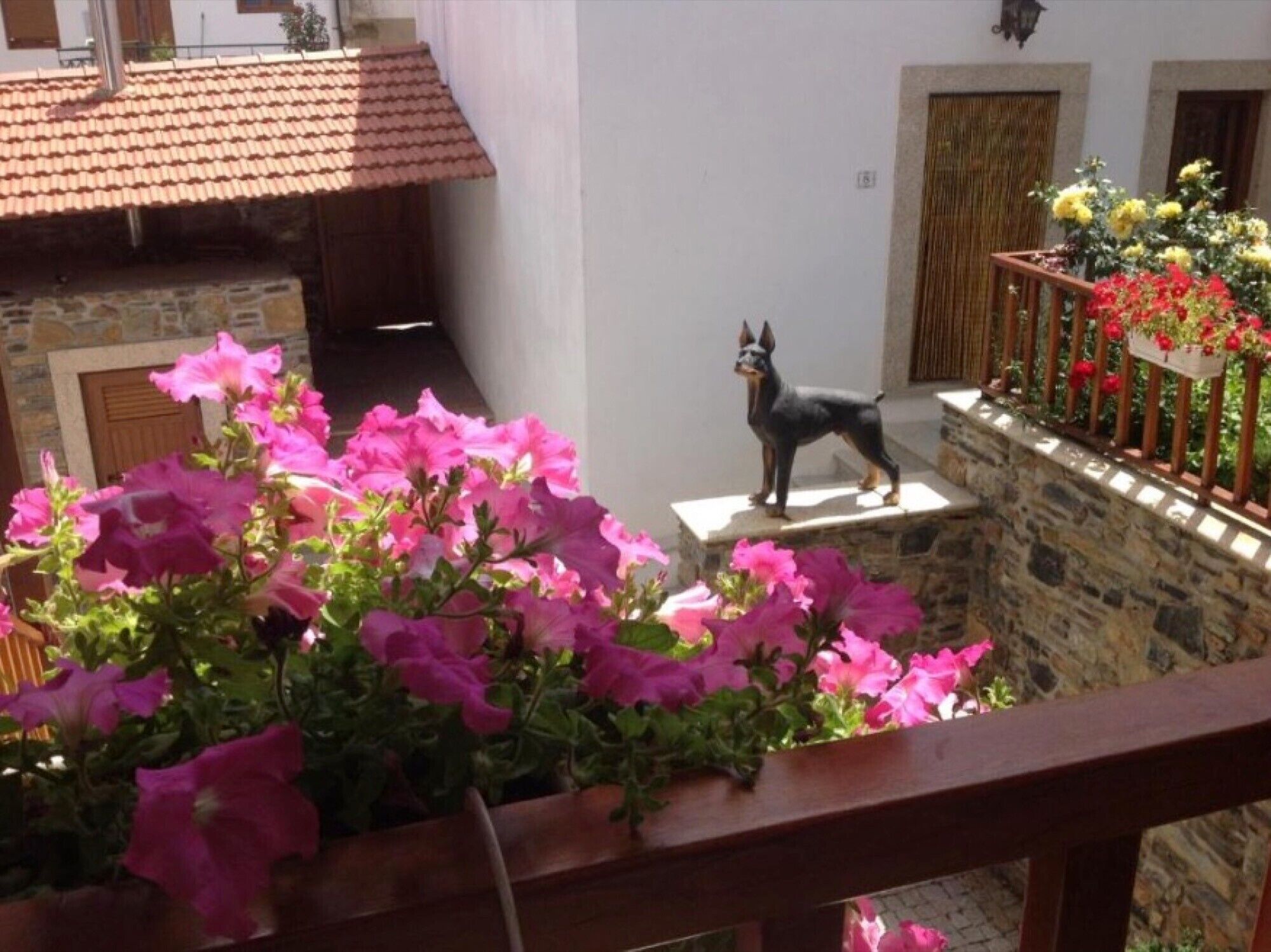 Un balcone con una statua di un cane, fiori rosa e un muro in pietra.
