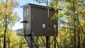 Een boomhut met een trap, gebouwd op poten, omringd door bomen.