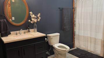Shower, hair dryer, towels, toilet paper
