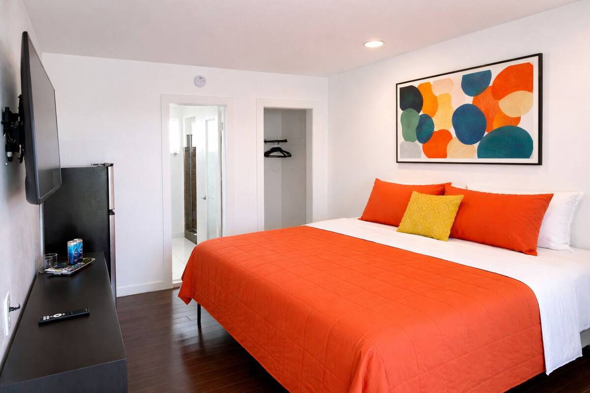 Une chambre d’hôtel avec un lit, une télévision, une douche et un tableau au mur.