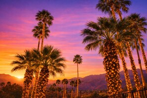 Exterior detail - Mod Palm Desert (Palm Desert)