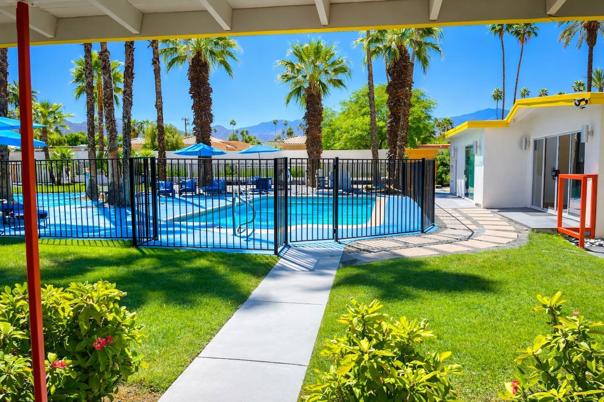 A pool area with a fence, palm trees, and a clear sky.