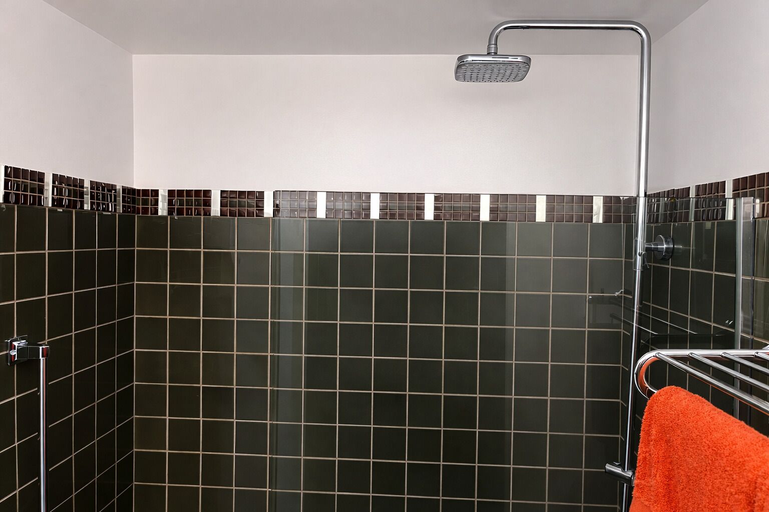 Ducha con grifo de cromo, puerta de vidrio y pared con azulejos.
