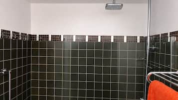 Ducha con grifo de cromo, puerta de vidrio y pared con azulejos.