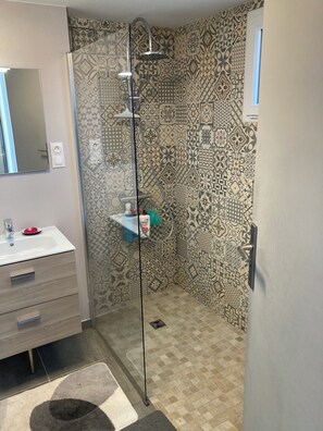 Shower, hair dryer, toilet paper
