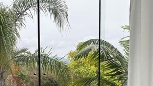 Vista da janela de um jardim exuberante com diversas palmeiras e vegetação.