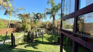 Um edifício moderno com grandes janelas, dando para um gramado bem cuidado com palmeiras.