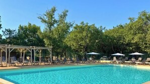 A rectangular swimming pool with clear blue water, surrounded by lounge chairs and umbrellas, with trees in the background. - ZEcamping 3 étoiles animé piscine chauffée locatif 20m2 5 pers (Saint-Saturnin-lès-Apt)